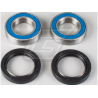 Radlager Set für TRX200 90-97