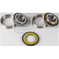 Lenkkopflagersatz für YFZ-R6 06-13 + YFZ-R1 07-13