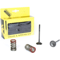 Stahlauslassventil u. Federn Set für KX250F04-16 + RM-Z25004-06