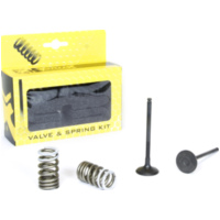 Stahlauslassventil u. Federn Set für RM-Z250 07-20