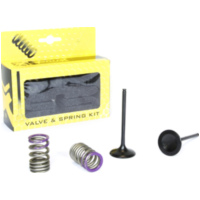 Stahleinlassventil u. Federn Set für KX250F 09-10