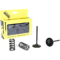 Stahleinlassventil u. Federn Set für YZ450F 10-13