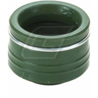 Ventilschaftdichtung für KFX700 04-09 + 750 Brute Force 08-10