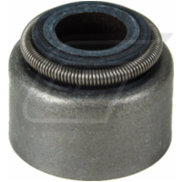 Ventilschaftdichtung für YFM660/700R Raptor 01-20