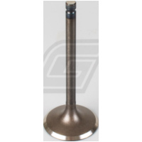 Stahleinlassventil für YFM350R Warrior/Raptor 350 87-13