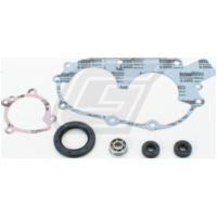 Wasserpumpenreparatursatz für Polaris Scrambler 400 94-02