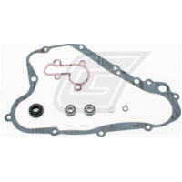 Wasserpumpenreparatursatz für RM80 91-01