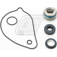 Wasserpumpenreparatursatz für TRX420 07-17