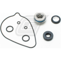 Wasserpumpenreparatursatz für TRX420FA 09-16