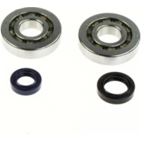 Kurbelwellenlager Satz HD Heavy Duty für Peugeot stehend Euro 1