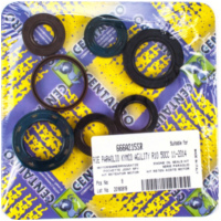 Motorsimmeringe Motorwellendichtringsatz 666A215SR