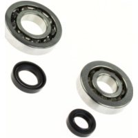 Kurbelwellenlager Satz Heavy Duty für Kymco, SYM liegend