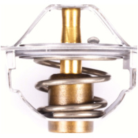 Thermostat (Vergl.-nr. 19300611005)