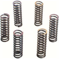 Premium Kupplungsfedern-Kit CSK017