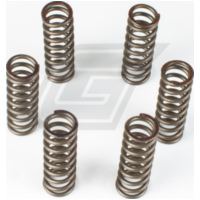 Premium Kupplungsfedern-Kit CSK037