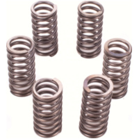 Kupplungsfedernsatz Premium Kupplungsfedern-Kit CSK111