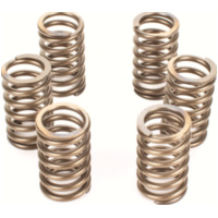 Kupplungsfedernsatz Premium Kupplungsfedern-Kit für: KTM CSK129