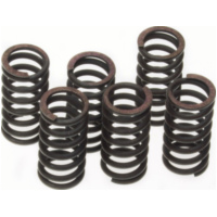Kupplungsfeder 2T 4T -04 250 310 -13 ve6