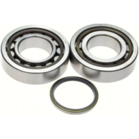 KurbelwellenlagerSatz Kurbelwellenlager (Satz) mit KW-Wellendichtringe K068