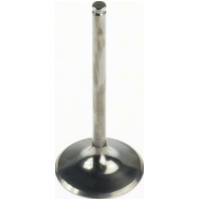 36.00 x 84.60 x 5.48 Einlassventil (Titanium)