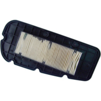Luftfilter MIW SY25104 für Sym Citycom 300 (07-13)