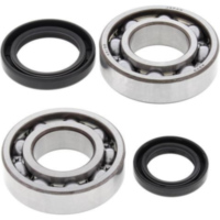 Kurbelwellenlager-Satz für: Suzuki LT-250R 85-92