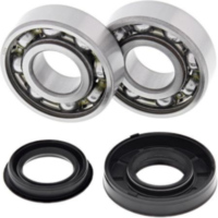 Radlager / Dichtungssatz