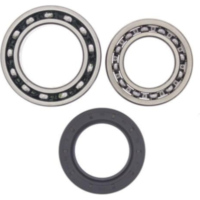 Radlager Satz hinten für: Yamaha YFM250 Moto-4 89-91