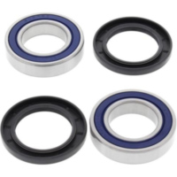 Radlager Satz hinten Adley ATV150S