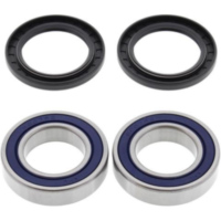 Radlager Satz hinten für: Polaris 300 2x4 94-95