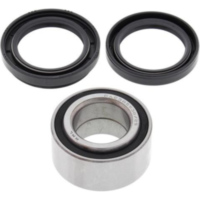 Radlager Satz vorne Arctic Cat 250 2x4 99-05