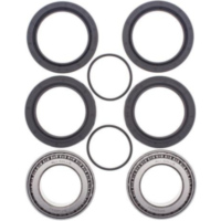 Radlager Satz hinten für: Polaris Outlaw 450 08-10