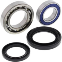 Radlager Satz hinten für: Yamaha YFM45FX Wolverine 450 4x4 06-10