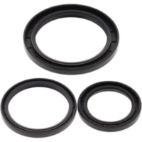 Differentialdichtungssatz - hinten - für: Yamaha YFM250 Beartracker 99-04