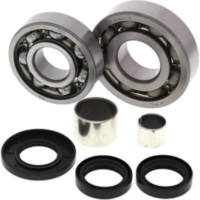 Differentiallager + Dichtungssatz - vorne - für: Polaris Magnum 325 4x4 00-02