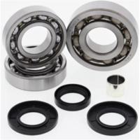 Differentiallager + Dichtungssatz - vorne - für: Polaris ATV 500 Pro 02