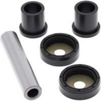 King Pin Kit für: Kawasaki KFX50 03-06