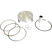 Kolbensatz 101.93 mm Athena