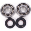 Hot Rods Kurbelwellenkit CBK0090 inkl. Lager, Wellendichtringe, Dichtsatz für Yamaha YZ 125 05-11
