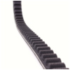 Antriebriemen, Zahnriemen L770xB16,3 Keilriemen