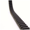 Antriebriemen, Zahnriemen L808xB17,5 Keilriemen