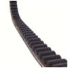 Antriebriemen, Zahnriemen L688xB18,1 Keilriemen