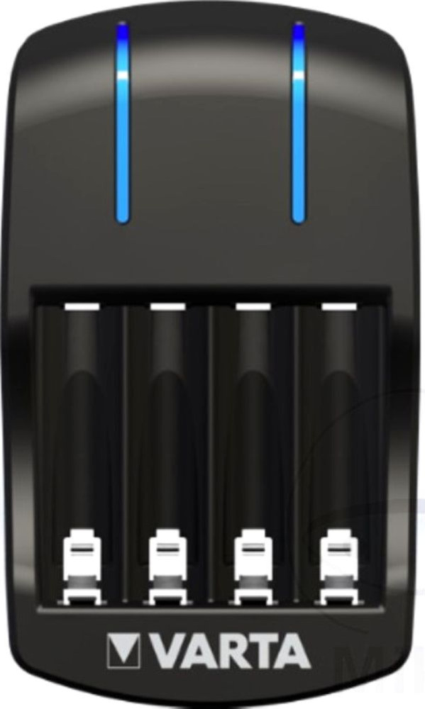 Akku Ladegerät PLUG CHARGER