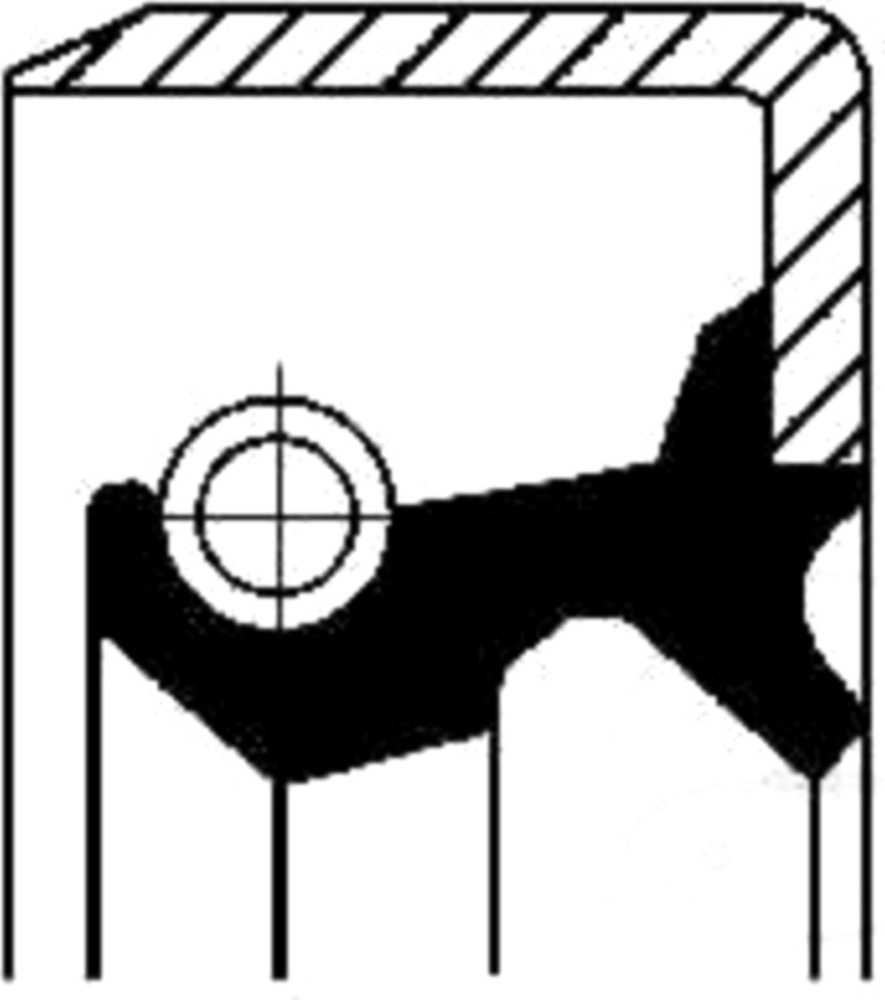 Wellendichtring 12012931B Wellendichtring 12012931B