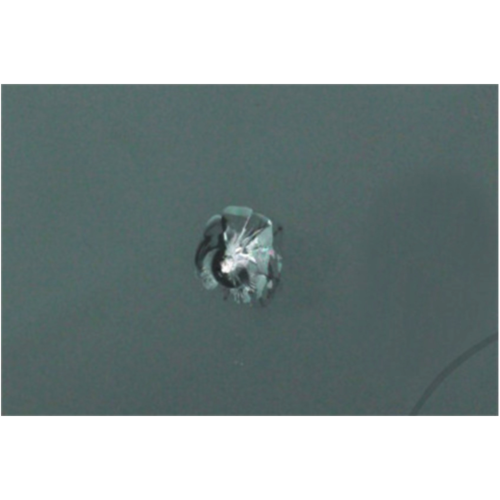 SCHEIBENREP Set presto