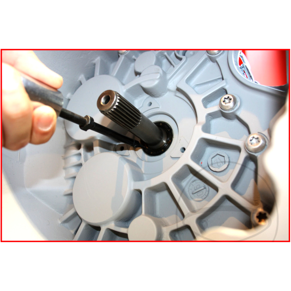 Simmerring-Auszieher-Satz