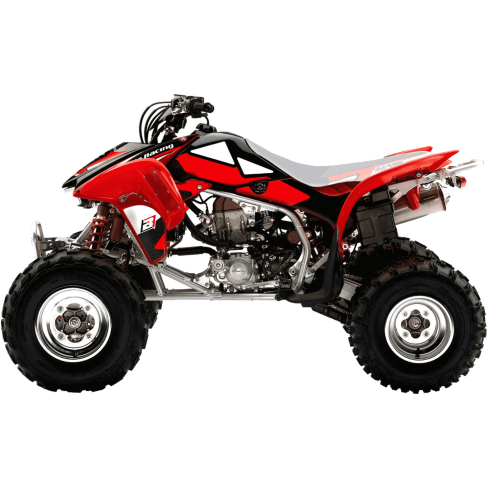 Aufkleber Satz BlackBird Racing 1107982