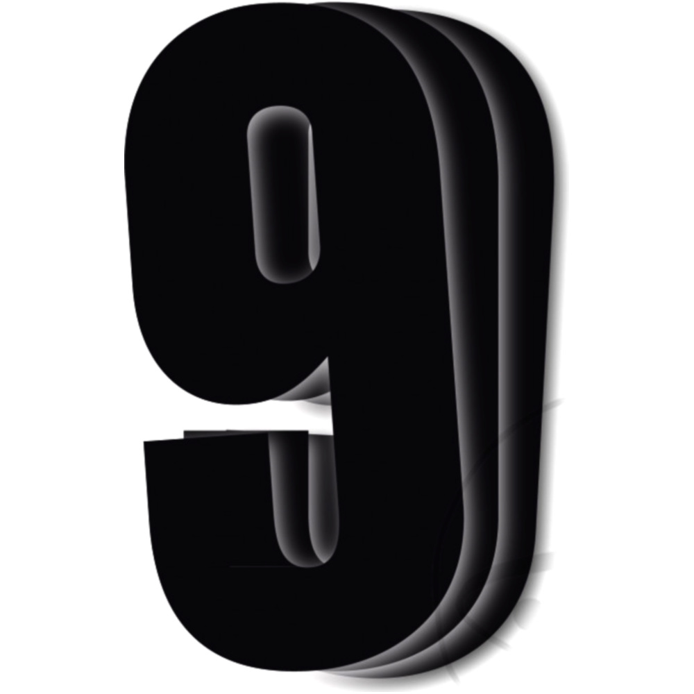 Startnummern NR.9 BlackBird Racing 1108306