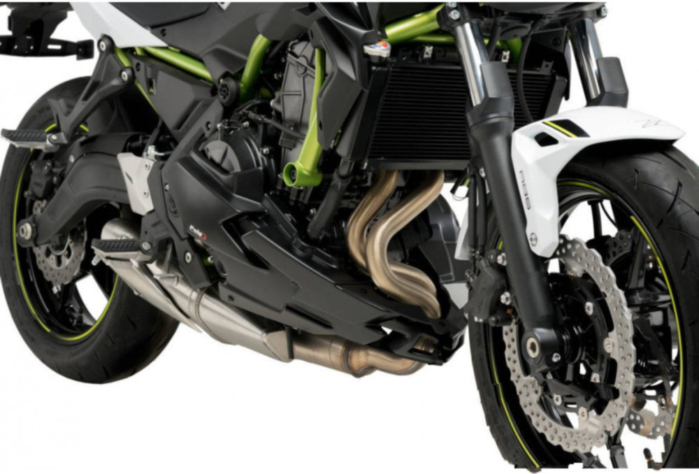 Bugspoiler Puig 20295J