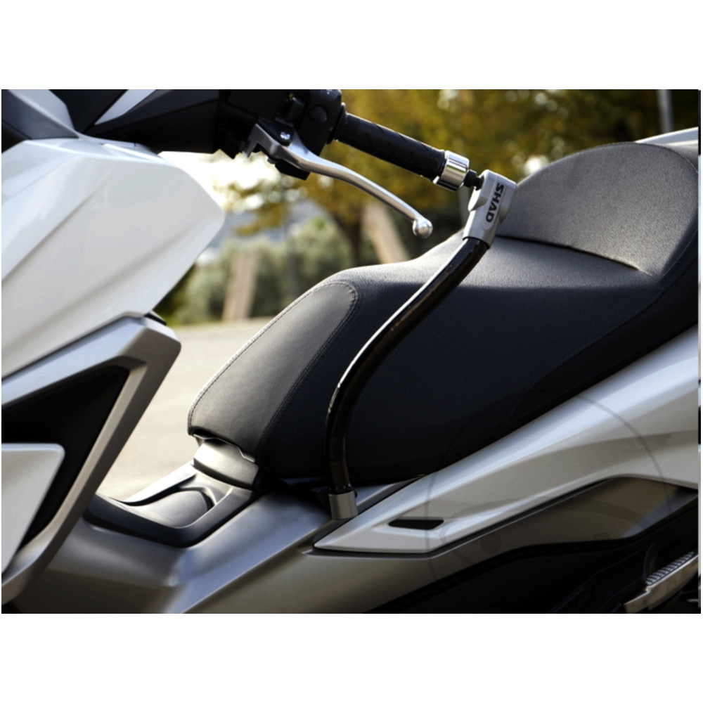 Lenkerschloss 1109889